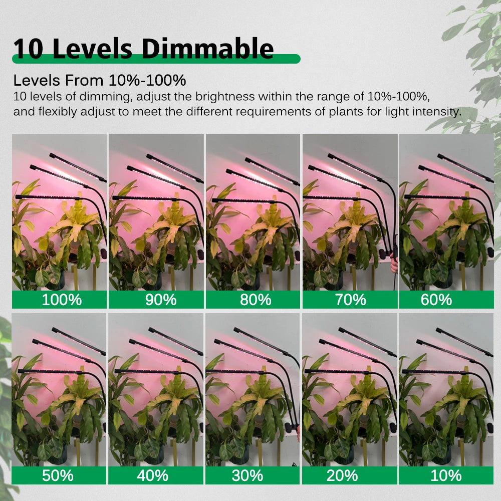 Desktop Clip Full Spectrum LED Grow Lamp 4000K 400Nm 780Nm Timing Three Light Modes Light for Greenhouse Tent Veg Flowers