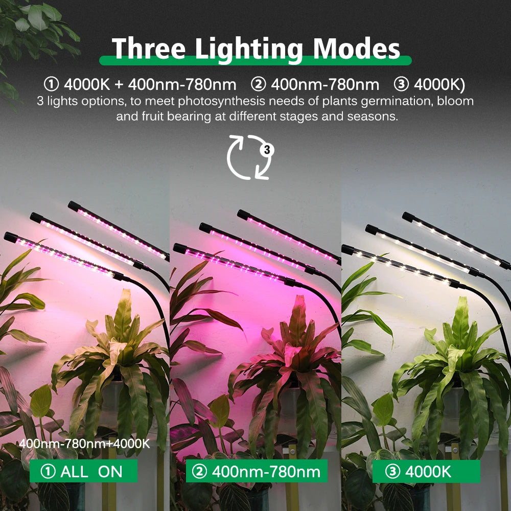 Desktop Clip Full Spectrum LED Grow Lamp 4000K 400Nm 780Nm Timing Three Light Modes Light for Greenhouse Tent Veg Flowers