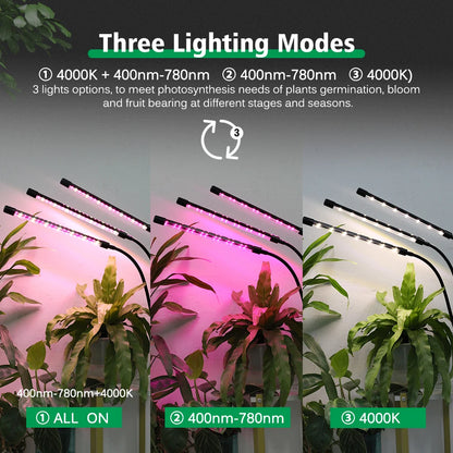 Desktop Clip Full Spectrum LED Grow Lamp 4000K 400Nm 780Nm Timing Three Light Modes Light for Greenhouse Tent Veg Flowers